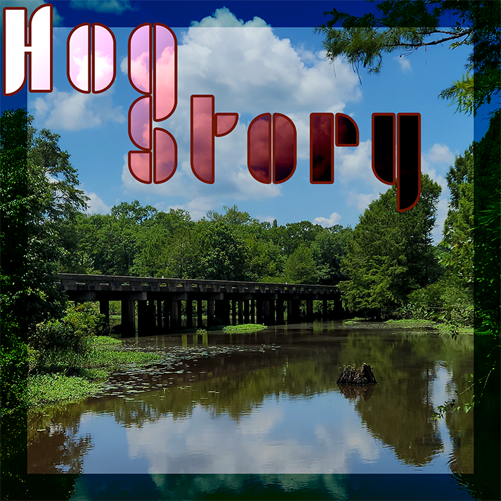 Hog Story #414 – Bust Down